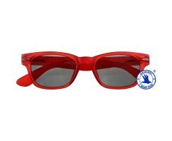 I NEED YOU 2in1 Lesebrille-Sonnenbrille BIFOKAL +1,0...